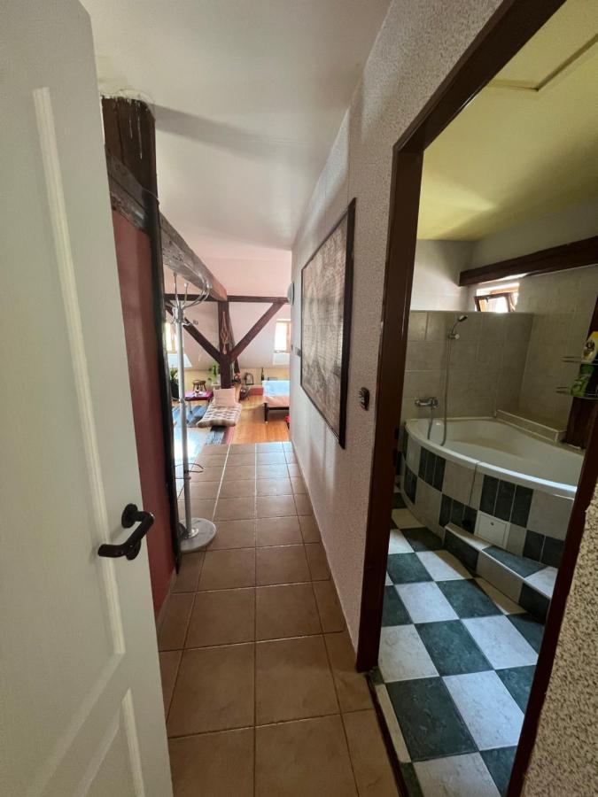 Apartman Galant Český Krumlov Extérieur photo
